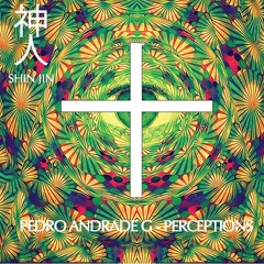 Prison of Our Minds (Original Mix) [Shin Jin]