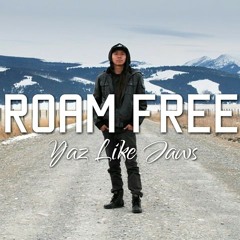 Roam Free (prod. by TheKid)