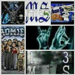 MCFADDEN SALVATRUCHOS LOKOTES MS13