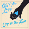 Cry in the Rain (prod. Avenue)