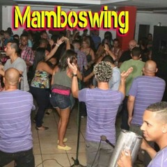 Mi mujer me boto a Mamboswing