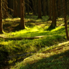 "Abschied" [2] (by Mauro Giuliani) - U.Tervoort & F.Hiemenz [live]
