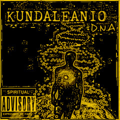 Dro Kundaleanio Follower Thy Drreams (remix3)