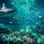 Artwork for Wyte Owl The Phantom - The Aquarium