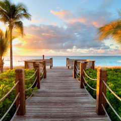 Dreams in Sunlight