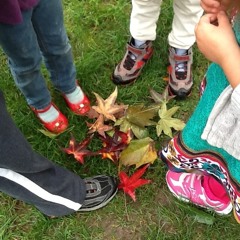 5 Ways To Use A Camara