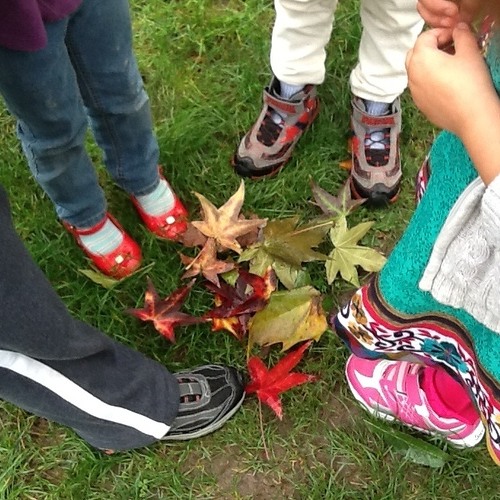 5 Ways To Use A Camara