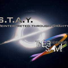 The F       Sam! - STAY (Interstellar - Hans Zimmer)