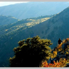 FIELDNOTES: I talk w/ my friend, David Landrum, field biologist, on the job in OREGON