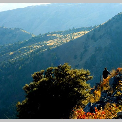 FIELDNOTES: I talk w/ my friend, David Landrum, field biologist, on the job in OREGON