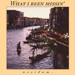 What I Been Missin' (prod. by Evil Needle)