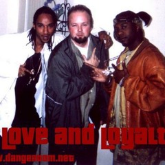 The THunder & the Rain