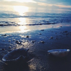 Fix You (Cover by Siri Pim-o )