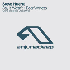 Steve Huerta - Bear Witness