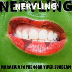 Damn Good Night (Hawaii)