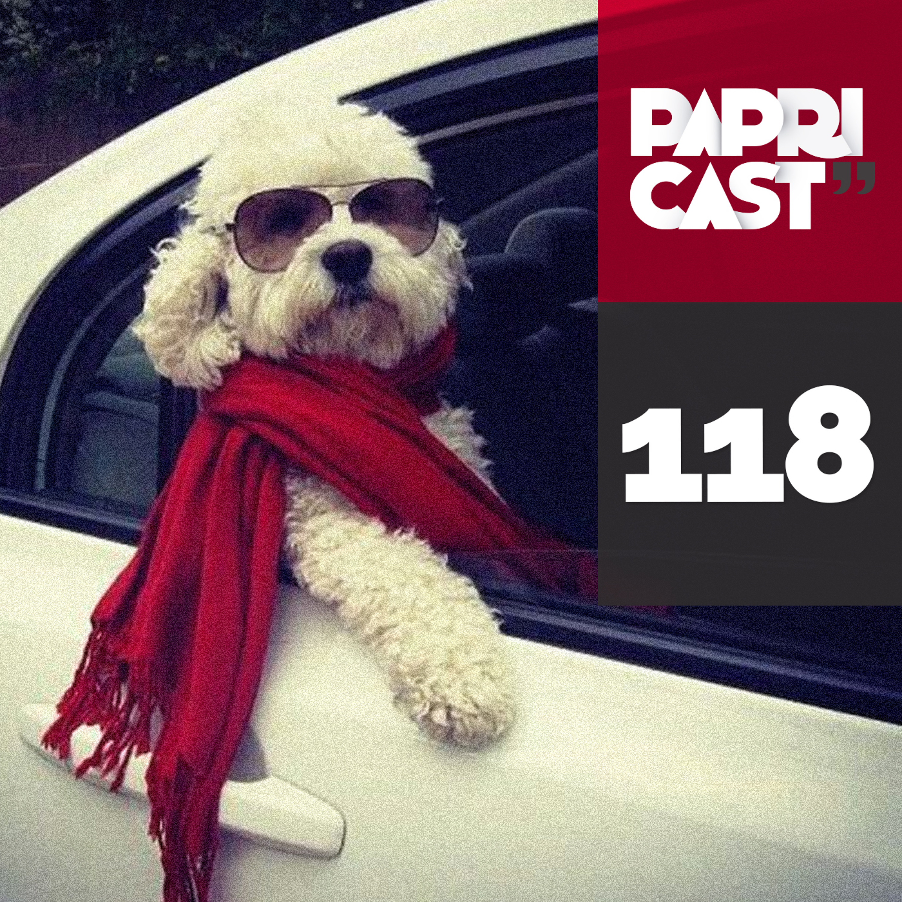 Papricast 118 /// I Liked It Before It Was Cool episode artwork