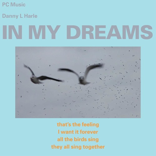 Danny L Harle - In My Dreams