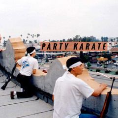 PARTY KARATE