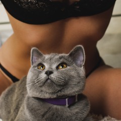 Kryder & Tom Staar, Zelda, Kap Slap -The Legend Of Lighting Jericho Antidote