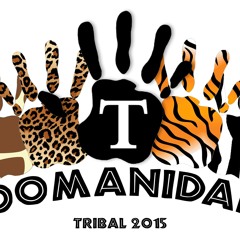 Escola De Samba Tribal - Zoomanidade (2015)