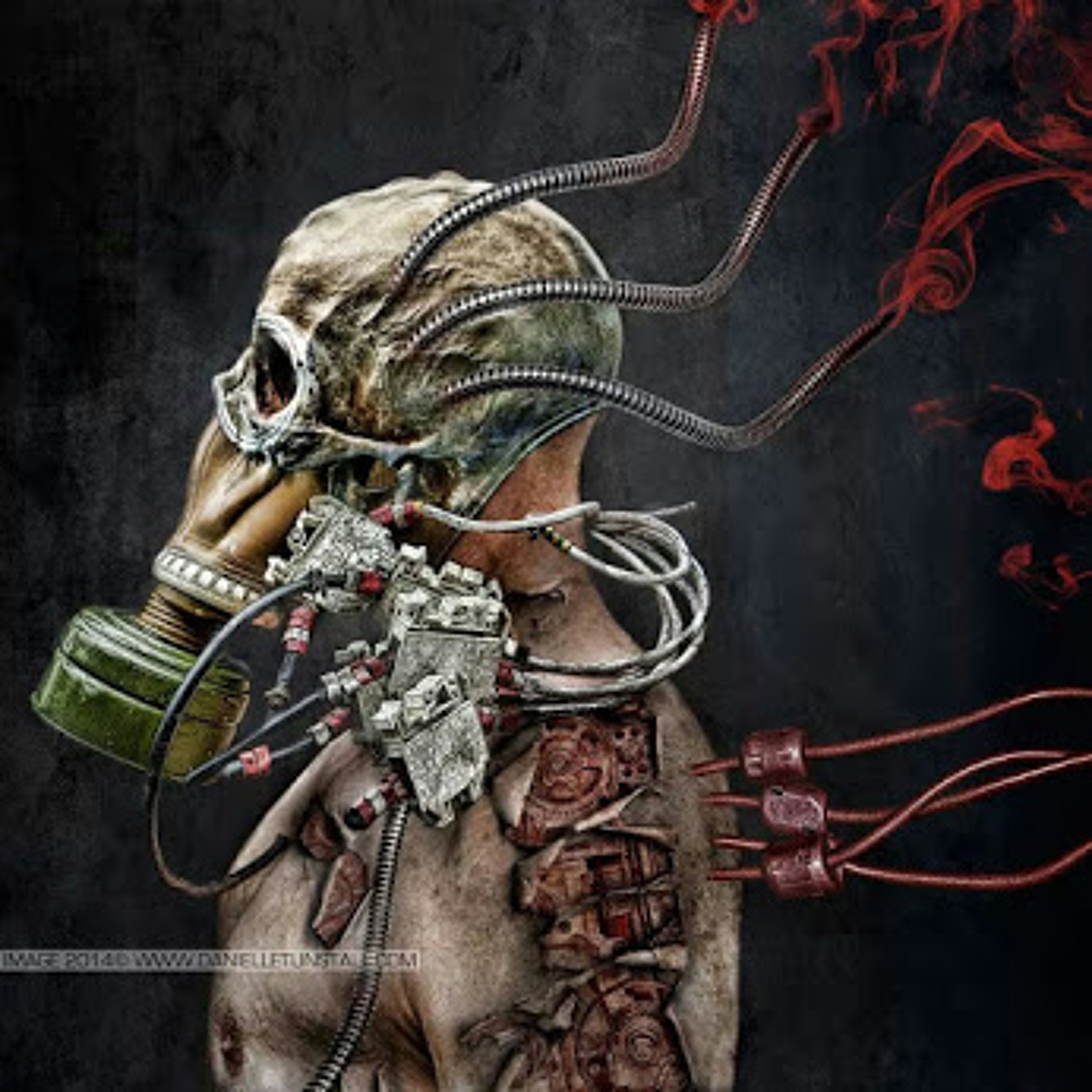 we are doomed..... episode artwork