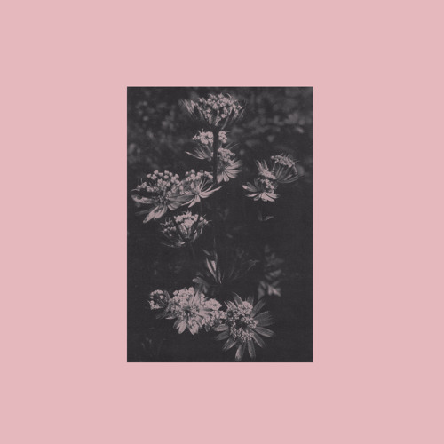 Född Död -  I smärtan, fri
