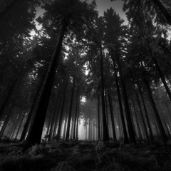 Fang Forest ॐ Steven_Shaman