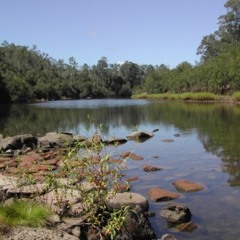 Hydrophones in the Mary River, Queensland, Australia