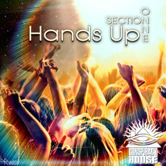 [ConspiracyHouse 009] Section Onne - Hands Up(Original Mix)[Teaser]*Out Now*
