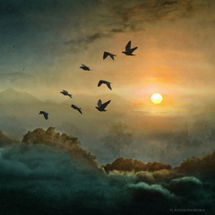 Fly Before You Fall Cover