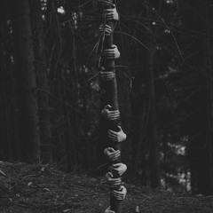 Through The Trees