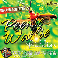 PEENIE WALLIE RIDDIM MIX /// BY DJ KOTCH