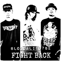 BlocCalito782 - Fight Back