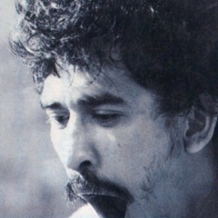 Iwan Fals - Kecoak Pembangunan