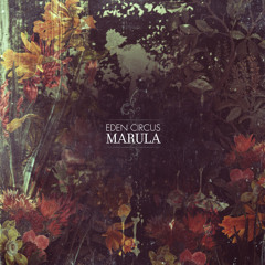 Her Lovely Hands Upon The Black Earth