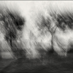 Grief Has No Purpose