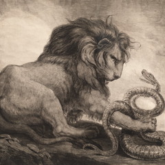 The Snake And The Lion