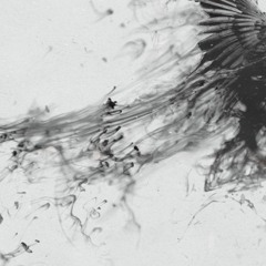 R A V E N | Prod. By PRO .DUCE® | TR✪P_SON †