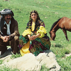 Koma Denge Azadi - Lo Şivano