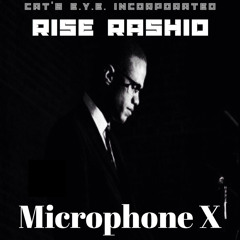 1 - Microphone X