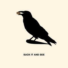 Suck It And See (cover)