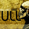 Martin Garrix & MOTI - Virus (SCULL Remix)