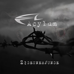 Acylum - Ziegeunerjunge (Cold Therapy Remix)