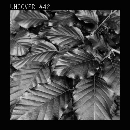 UN #42 Nick Craddock