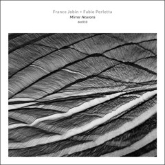 France Jobin + Fabio Perletta ~ Mirror Neurons (Dragon's Eye Recordings)