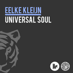 Eelke Kleijn - Universal Soul (Original Mix)