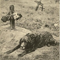 Dead Mouth - Everest