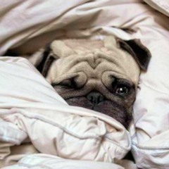 Duvet Day Instrumental