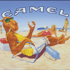 Smoking Camel #5 Lomepal X Caballero X Meyso X Clay And Friends X Guests