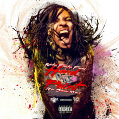 Waka Flocka Flame - Hard In The Paint (Neon Dreams Remix)